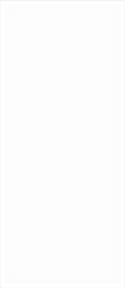￼